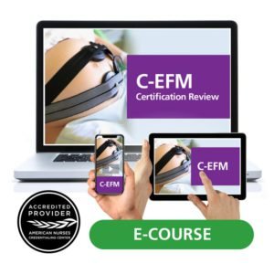 C-EFM Individual User License